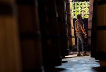 Processo de produção